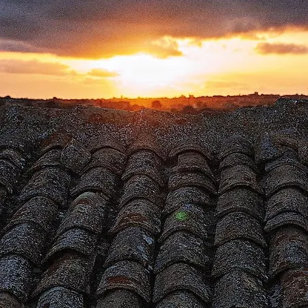 Vinciucci Couette-café