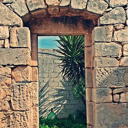 Couette-café Vinciucci 4*