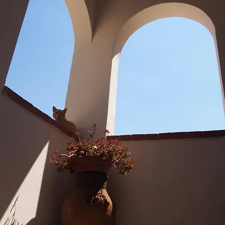 Vinciucci לינה וארוחת בוקר 4*