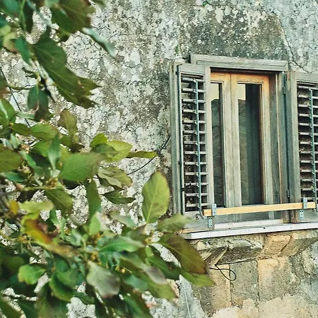 Bed & Breakfast Vinciucci *