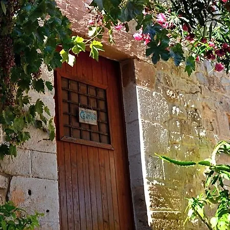Vinciucci