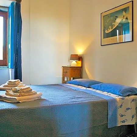 Vinciucci 4*